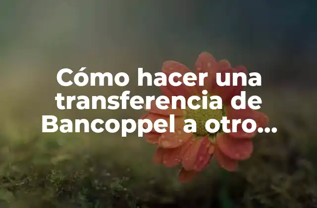 Cómo Hacer una Transferencia de Bancoppel a Otro Banco