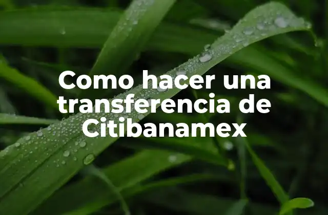 Como Hacer una Transferencia de Citibanamex