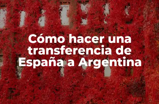 Cómo Hacer una Transferencia de España a Argentina