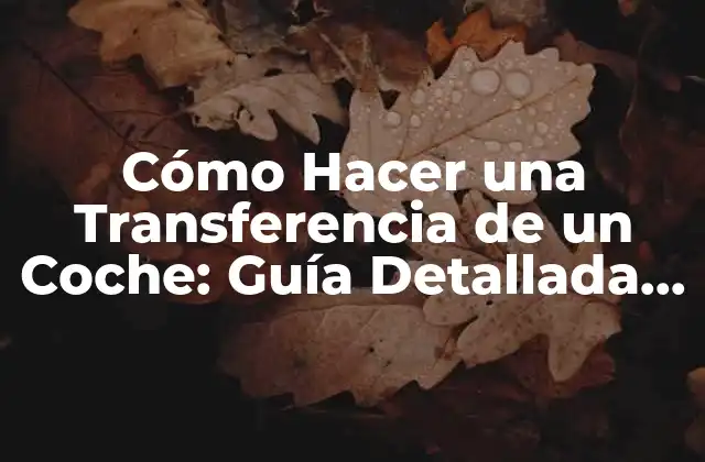 Cómo Hacer una Transferencia de un Coche: Guía Detallada y Práctica