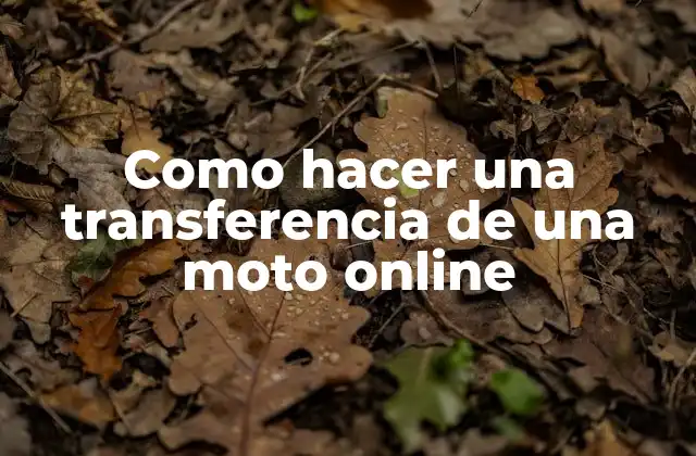 Como Hacer una Transferencia de una Moto Online