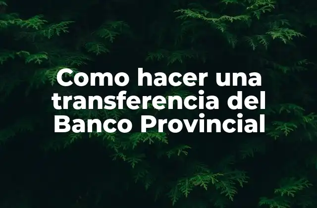 Como Hacer una Transferencia Del Banco Provincial 2 ¿Qué es una transferencia del Banco Provincial y para qué sirve?