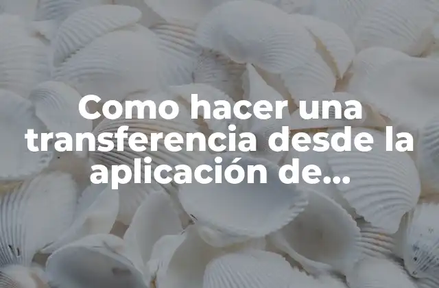 Como Hacer una Transferencia desde la Aplicación de Citibanamex