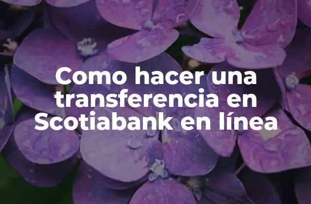 Transferencias en Scotiabank en línea