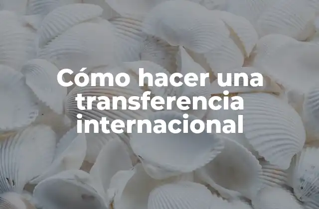 Cómo Hacer una Transferencia Internacional