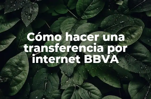 Cómo hacer una transferencia por internet BBVA
