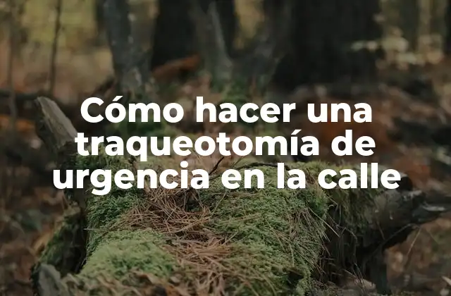 Cómo Hacer una Traqueotomía de Urgencia en la Calle