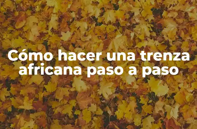 Cómo Hacer una Trenza Africana Paso a Paso