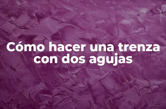 Cómo Hacer una Trenza con Dos Agujas