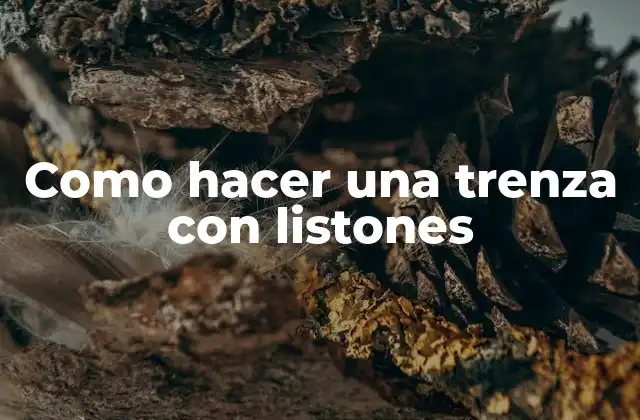 Como Hacer una Trenza con Listones