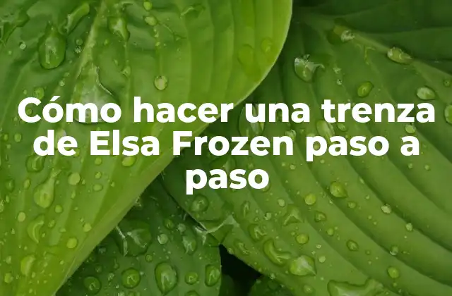 Cómo Hacer una Trenza de Elsa Frozen Paso a Paso