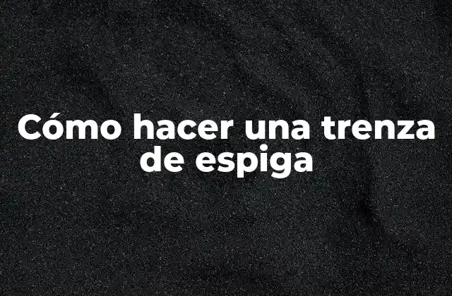 Cómo Hacer una Trenza de Espiga