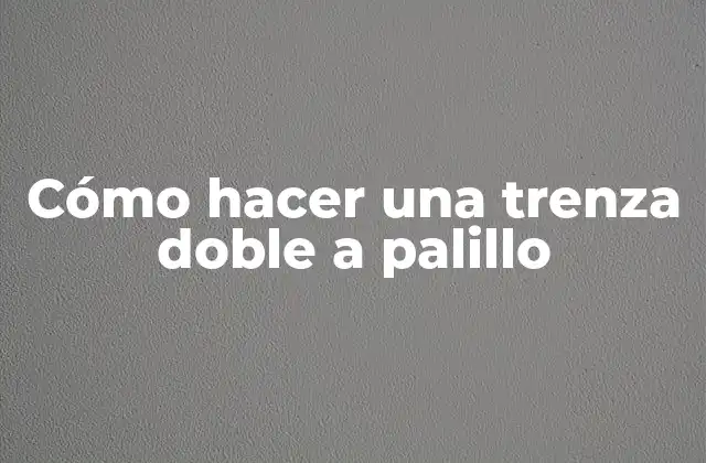 Cómo Hacer una Trenza Doble a Palillo