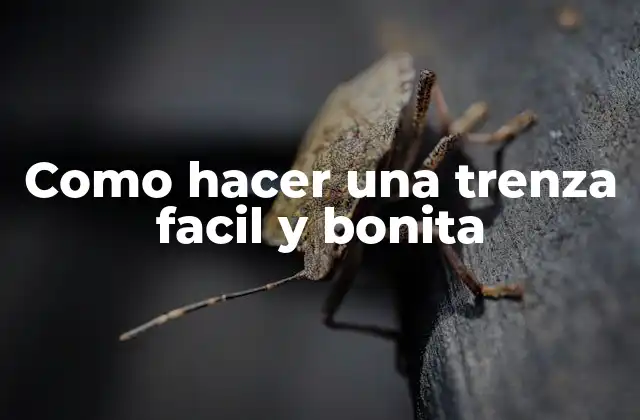 Como Hacer una Trenza Facil y Bonita