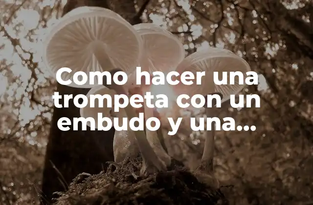 Como Hacer una Trompeta con un Embudo y una Manguera