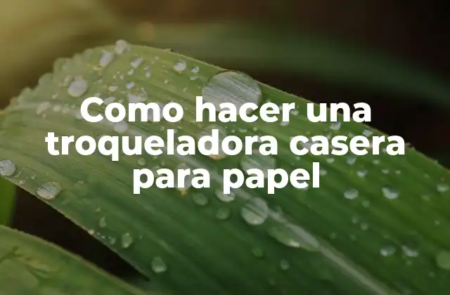 Como Hacer una Troqueladora Casera para Papel