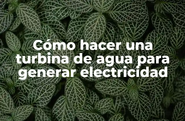 Cómo Hacer una Turbina de Agua para Generar Electricidad