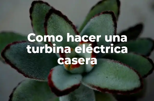 Como Hacer una Turbina Eléctrica Casera