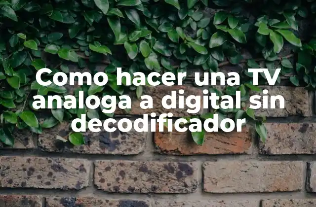 Como Hacer una Tv Analoga a Digital sin Decodificador