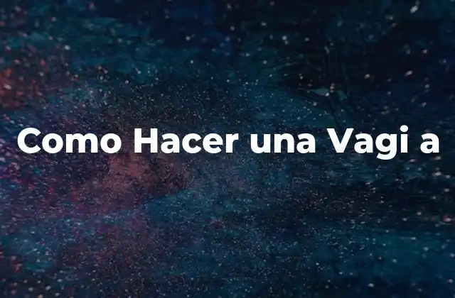 Como Hacer una Vagi a