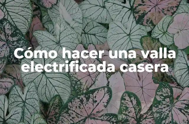 Cómo Hacer una Valla Electrificada Casera