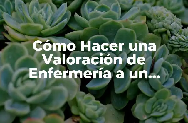 Cómo Hacer una Valoración de Enfermería a un Paciente Ejemplos