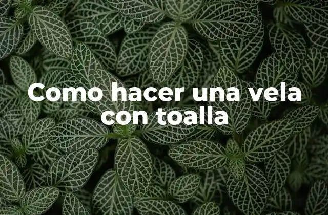 Como Hacer una Vela con Toalla