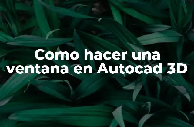 Como Hacer una Ventana en Autocad 3d