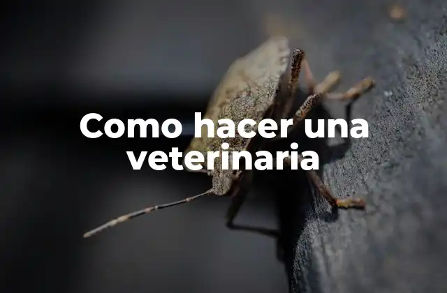 Como Hacer una Veterinaria