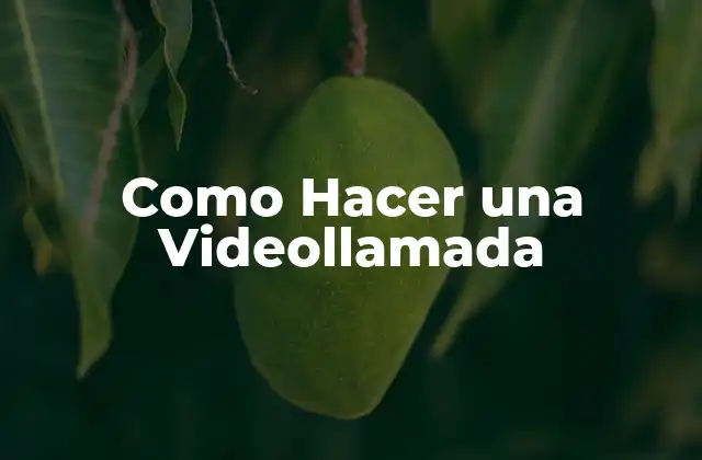 Como Hacer una Videollamada