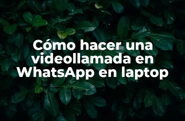 Cómo Hacer una Videollamada en Whatsapp en Laptop