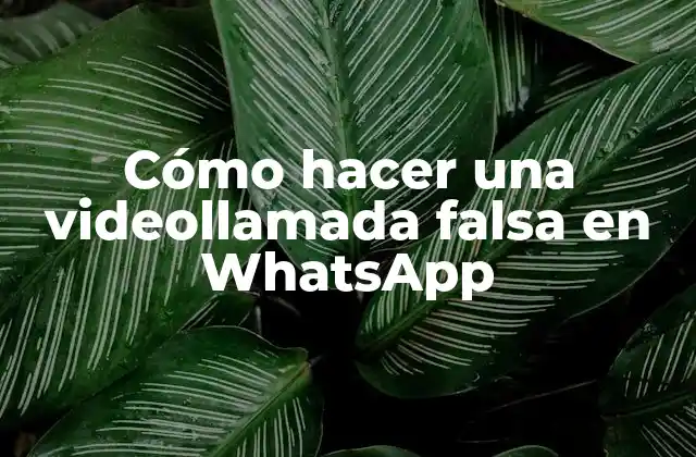 Cómo Hacer una Videollamada Falsa en Whatsapp