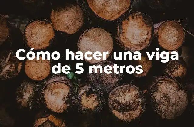 Cómo Hacer una Viga de 5 Metros