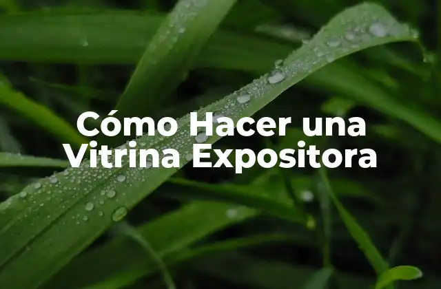 Cómo Hacer una Vitrina Expositora