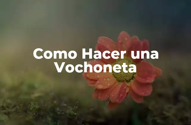 Como Hacer una Vochoneta
