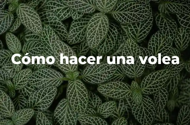 Cómo Hacer una Volea
