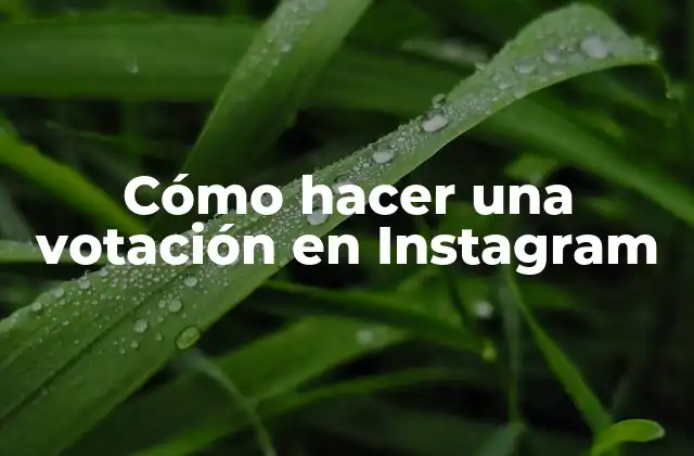 Cómo Hacer una Votación en Instagram