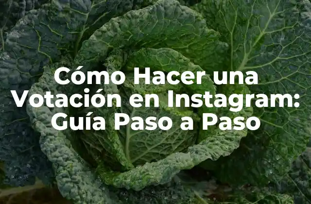 Cómo Hacer una Votación en Instagram: Guía Paso a Paso