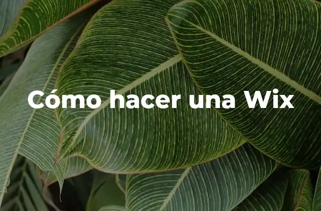 Cómo Hacer una Wix