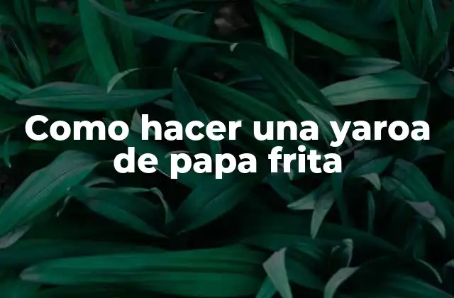 Como Hacer una Yaroa de Papa Frita