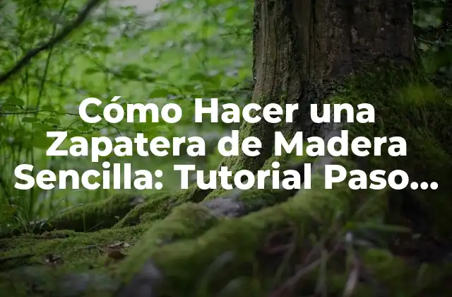Cómo Hacer una Zapatera de Madera Sencilla: Tutorial Paso a Paso