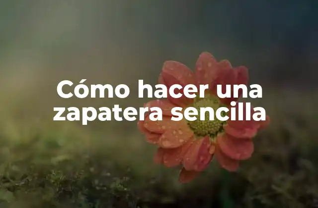 Cómo Hacer una Zapatera Sencilla