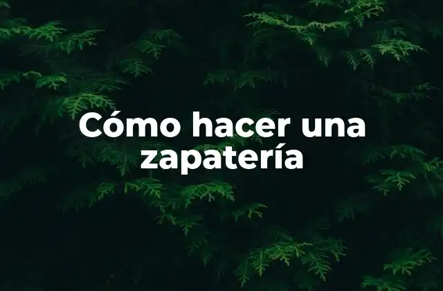 Cómo Hacer una Zapatería