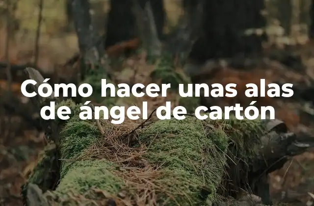 Cómo Hacer unas Alas de Ángel de Cartón