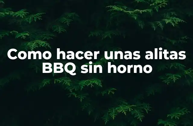 Como Hacer unas Alitas Bbq sin Horno