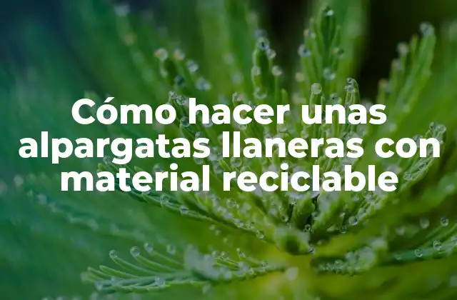 Cómo Hacer unas Alpargatas Llaneras con Material Reciclable