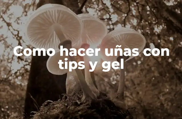 Como Hacer Uñas con Tips y Gel