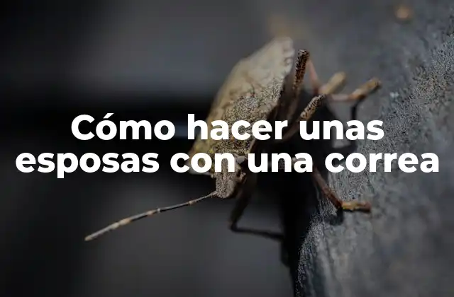 Cómo Hacer unas Esposas con una Correa