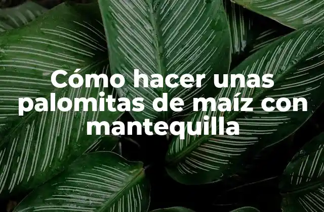 Cómo Hacer unas Palomitas de Maíz con Mantequilla