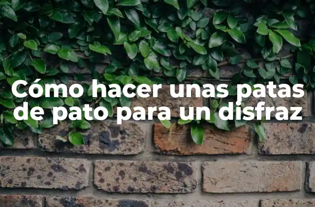 Cómo Hacer unas Patas de Pato para un Disfraz